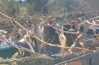 Vinos de altura en Tucumán: especialistas del INTA destacaron el potencial de Amaicha del Valle
