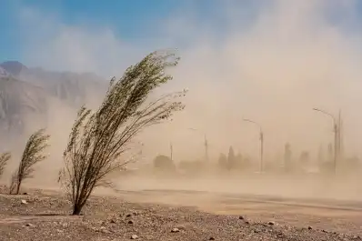 Alerta amarilla en 12 provincias: se pronosticaron vientos de hasta 100 kilómetros por hora