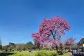 Vuelve el concurso de fotografía de la Municipalidad con premios de hasta $500.000