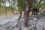 Nevada y con poca visibilidad: Vialidad advierte la presencia de neblina en la ruta a los valles