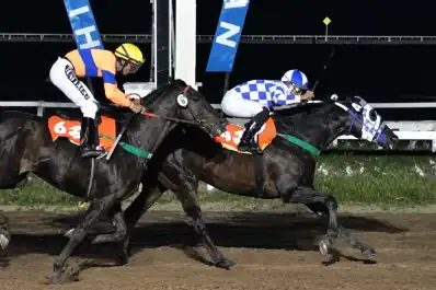 Golden Warrior volvió a festejar y se tomó revancha en el turf tucumano