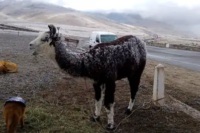 Postales de un domingo frío en El Infiernillo y en Tafí del Valle