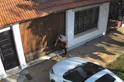 La mamá del adolescente que le pisó la cabeza a un gato rompió el silencio: “No sabe por qué reaccionó así”