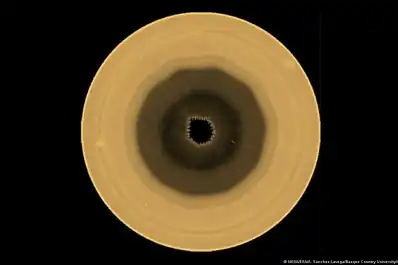 El decágono de Saturno: descubren un colosal misterio geométrico en el polo sur