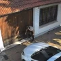 La mamá del adolescente que le pisó la cabeza a un gato rompió el silencio: “No sabe por qué reaccionó así”