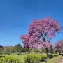 Vuelve el concurso de fotografía de la Municipalidad con premios de hasta $500.000