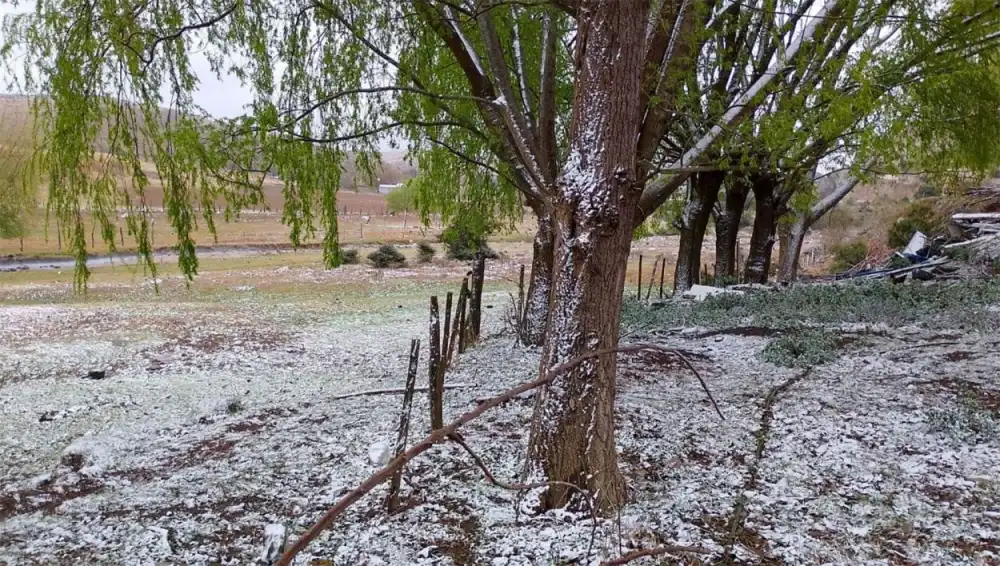 Nieve y neblina en Raco