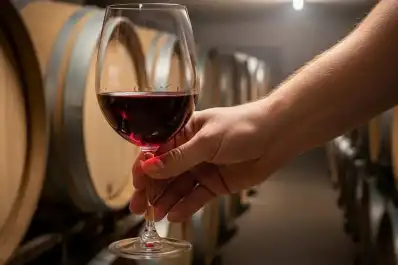 Mendoza: una histórica bodega entró en concurso preventivo por deudas millonarias y pide que no le corten la luz