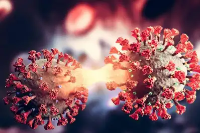 Nueva variante de coronavirus en Argentina: detectaron los primeros casos de BA.3.2