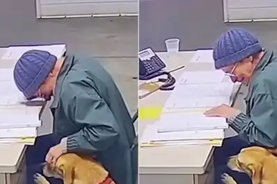 La desgarradora despedida de una mujer y su perro: “Me voy a un geriátrico y no puedo llevarlo”