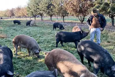 Imputaron por trata de personas a un empresario de Salta: las condiciones en las que vivían siete trabajadores