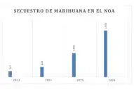 Narcos tercerizarían el cultivo de marihuana para obtener mayores ganancias
