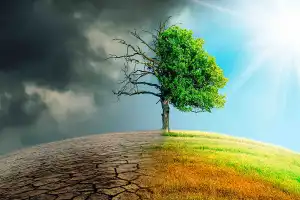 La ciudad argentina que está entre las seis mejor preparadas del mundo frente al cambio climático