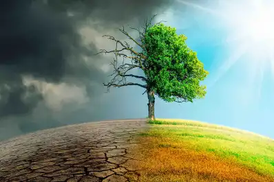 La ciudad argentina que está entre las seis mejor preparadas del mundo frente al cambio climático