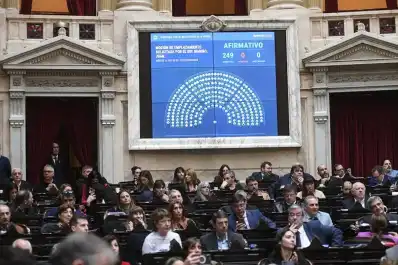 Diputados aprobó el tratamiento de la emergencia en discapacidad y el endeudamiento familiar: cuándo se debatirán