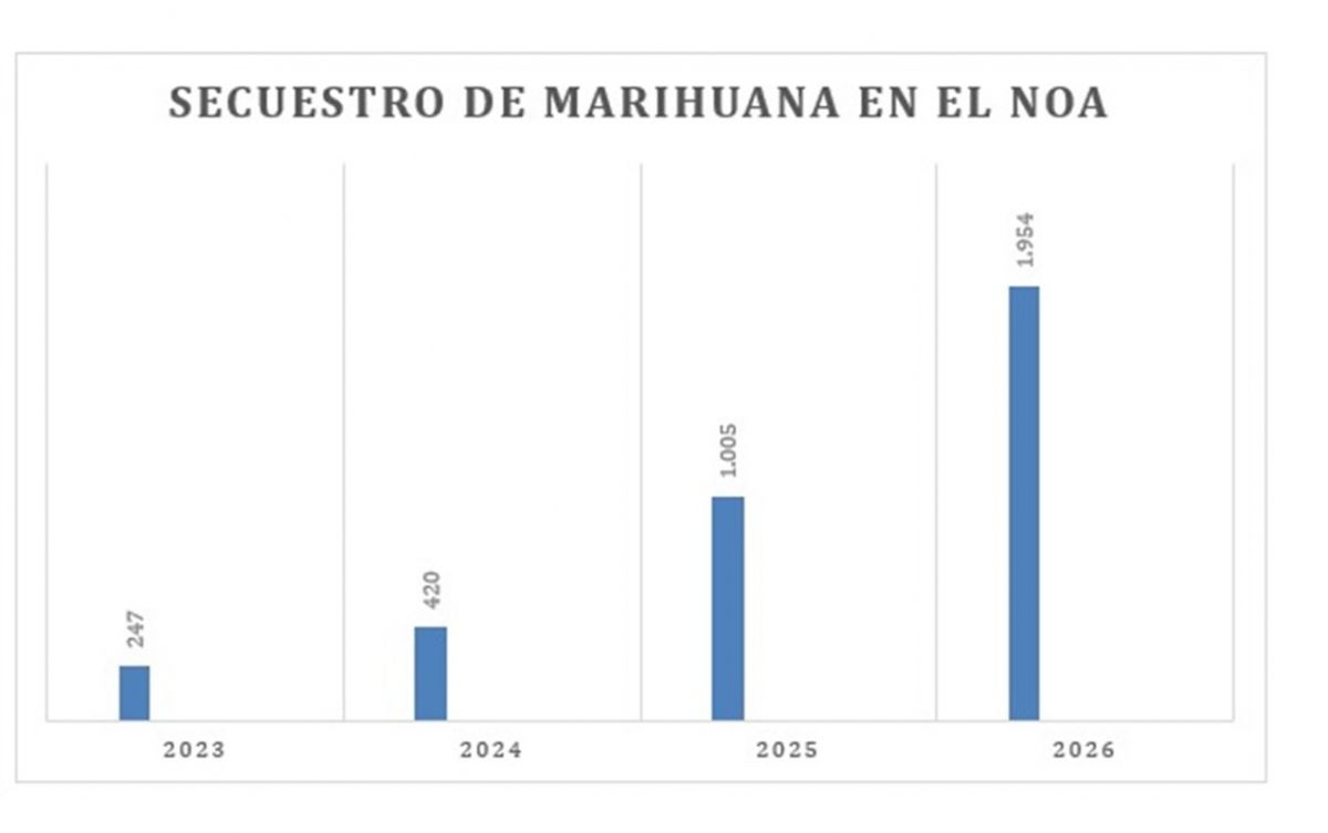 Narcos tercerizarían el cultivo de marihuana para obtener mayores ganancias