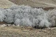 ¿Nieve en Tucumán? Tafí del Valle espera un fin de semana con frío y temperaturas bajo cero