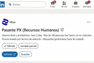 Pfizer abrió nuevas oportunidades laborales para estudiantes y profesionales