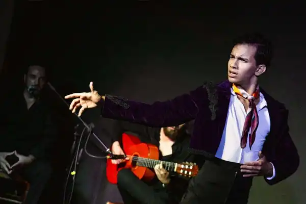 “El flamenco es un lenguaje con una historia a conocer”