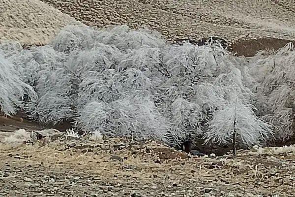 ¿Nieve en Tucumán? Tafí del Valle espera un fin de semana con frío y temperaturas bajo cero