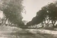 Recuerdos fotográficos: 1932. La confitería que le dio el nombre a la esquina Floresta