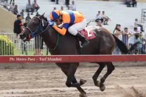 Endor Rye llega al Gran Premio “Batalla de Tucumán” con las luces encendidas