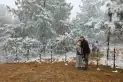 Nieve en los Valles y 6° bajo cero: el último golpe del invierno antes del calor en Tucumán