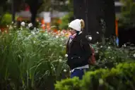 Ola de frío: ¿cuándo empieza el ascenso de la temperatura en Tucumán?