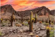 Una provincia del norte se quedó con el premio al Mejor Destino de Montaña de Sudamérica