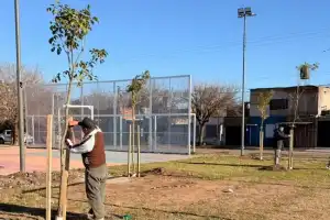 Rosario es líder nacional en recuperar terrenos abandonados