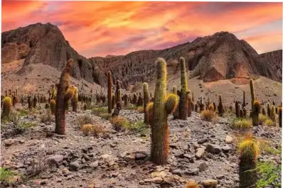 Una provincia del norte se quedó con el premio al Mejor Destino de Montaña de Sudamérica