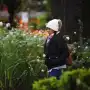Ola de frío: ¿cuándo empieza el ascenso de la temperatura en Tucumán?