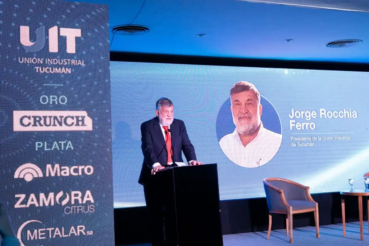 Unión industrial de Tucumán: “Pedimos condiciones iguales para poder competir”, dijo Rocchia Ferro