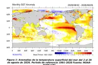 El Niño se intensifica y alcanza un nivel histórico: qué significa el “Súper Niño”