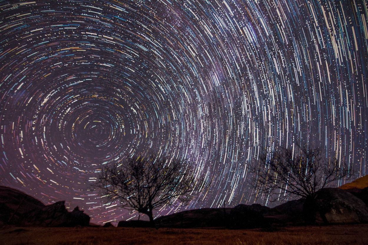 “LA CIÉNAGA”. Registro nocturno realizado por Gonzalo Iratchet.