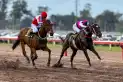 Dos clásicos para que las Estrellas brillen en el hipódromo tucumano