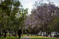No es el 21 de septiembre: cuándo será el equinoccio de primavera 2026 en Argentina