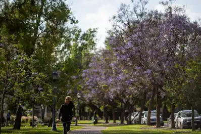 No es el 21 de septiembre: cuándo será el equinoccio de primavera 2026 en Argentina