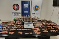 El mayor secuestro de drogas sintéticas en Argentina: incautaron 52 kilos de MDMA