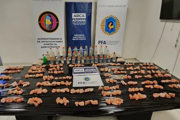 El mayor secuestro de drogas sintéticas en Argentina: incautaron 52 kilos de MDMA