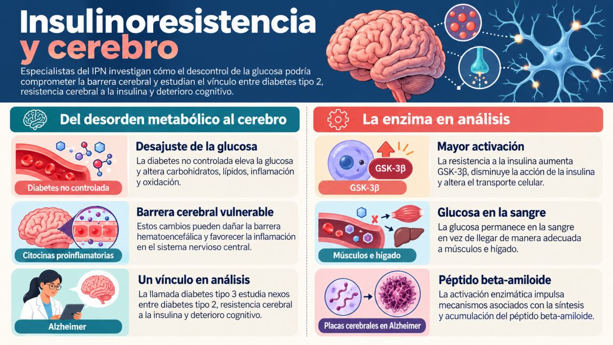 Diabetes y Alzheimer: científicos estudian qué mecanismos podrían conectar ambas enfermedades