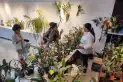 Primavera 2026 en Tucumán: fiestas, música y actividades culturales para disfrutar en familia