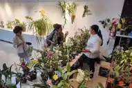 Primavera 2026 en Tucumán: fiestas, música y actividades culturales para disfrutar en familia