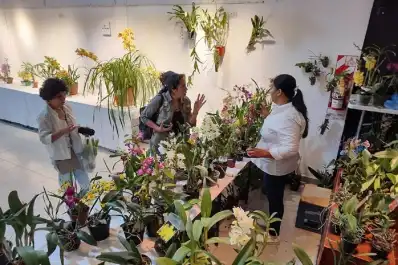 Primavera 2026 en Tucumán: fiestas, música y actividades culturales para disfrutar en familia
