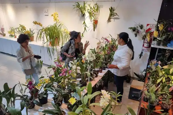 Primavera 2026 en Tucumán: fiestas, música y actividades culturales para disfrutar en familia