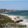 Tragedia en Australia: un hombre murió tras el feroz ataque de un tiburón cerca de la costa
