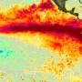 Alerta por el Súper Niño: ¿qué provincia argentina se prepara para un escenario de lluvias extremas e inundaciones?