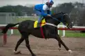 Suffok recuperó su mejor nivel y Morán se ilusiona con ganar otra vez el Batalla