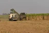 Zafra sucroalcoholera 2026: los ingenios tucumanos llevan producidos 902.736 toneladas de azúcar