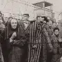 Auschwitz, esto ha sucedido